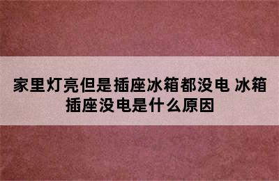 家里灯亮但是插座冰箱都没电 冰箱插座没电是什么原因